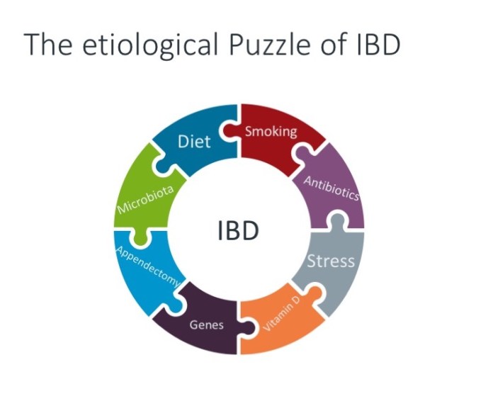 Lifecourse puzzlee ibd